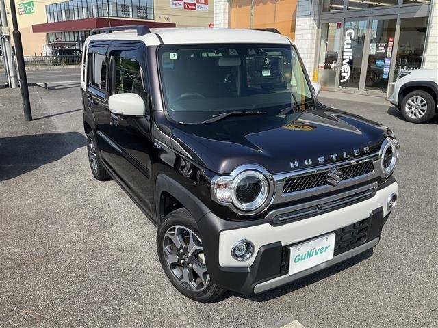 Suzuki HUSTLER 2023 8357192-17