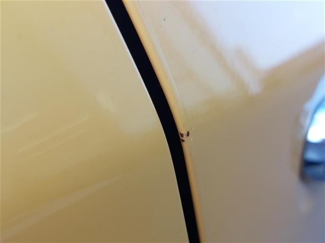Suzuki HUSTLER 2017 8357309-8