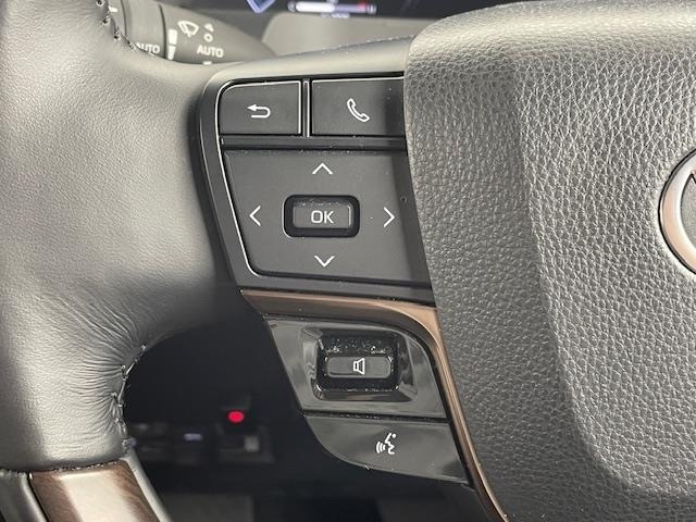 Toyota ALPHARD 2024 8359387-7