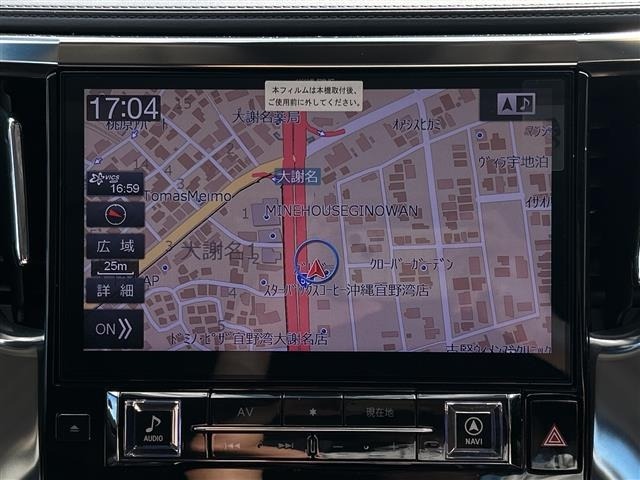 Toyota ALPHARD 2019 8359396-16
