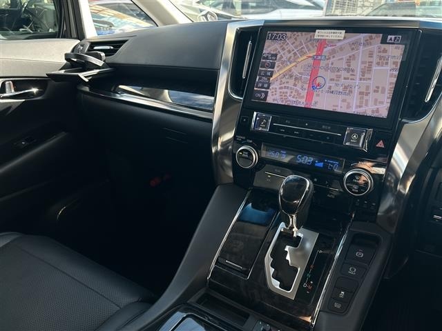 Toyota ALPHARD 2019 8359396-9
