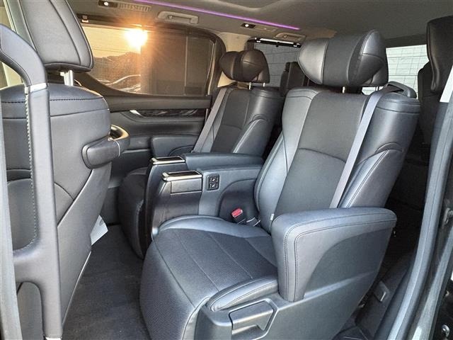Toyota ALPHARD 2019 8359408-19