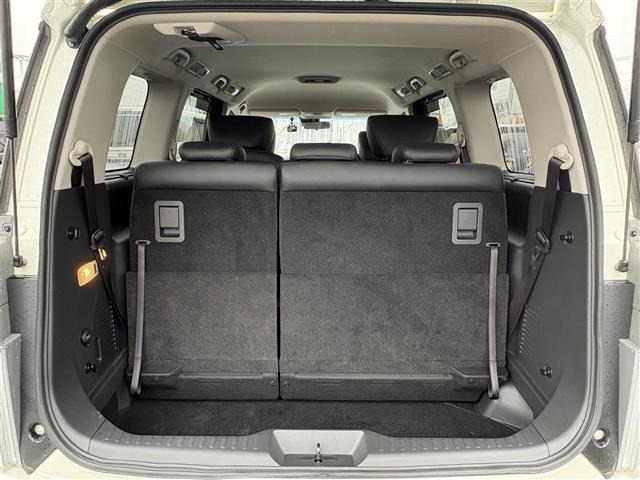 Nissan ELGRAND 2019 8358573-12