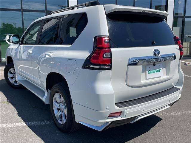 Toyota LAND CRUISER PRADO 2021 8359447-13