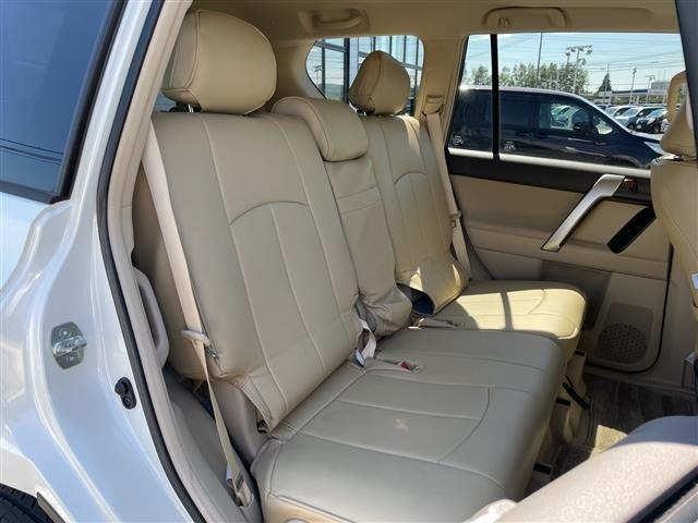 Toyota LAND CRUISER PRADO 2021 8359447-20