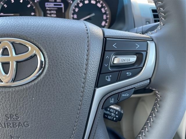 Toyota LAND CRUISER PRADO 2021 8359447-9