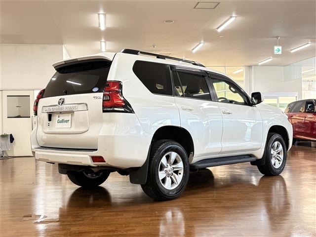 Toyota LAND CRUISER PRADO 2019 8359453-13