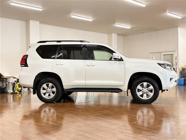 Toyota LAND CRUISER PRADO 2019 8359453-19