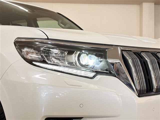 Toyota LAND CRUISER PRADO 2019 8359453-21
