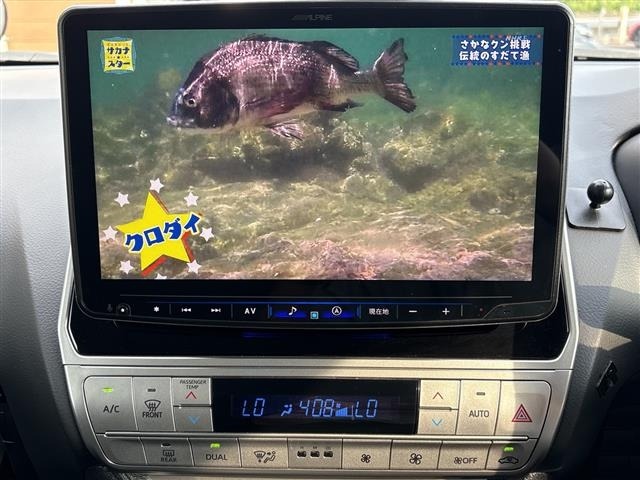 Toyota LAND CRUISER PRADO 2018 8359458-6