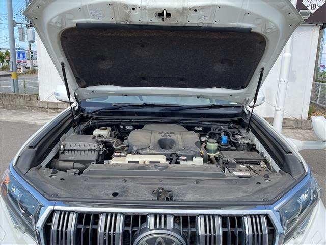 Toyota LAND CRUISER PRADO 2019 8359481-14