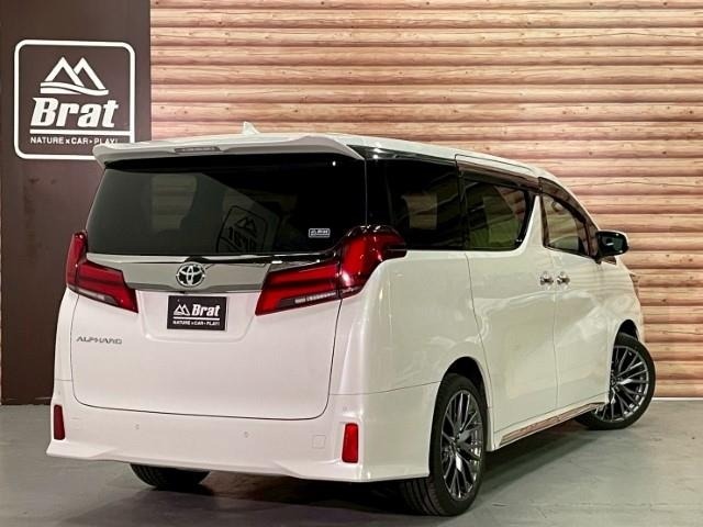 Toyota ALPHARD 2021 8434793-13
