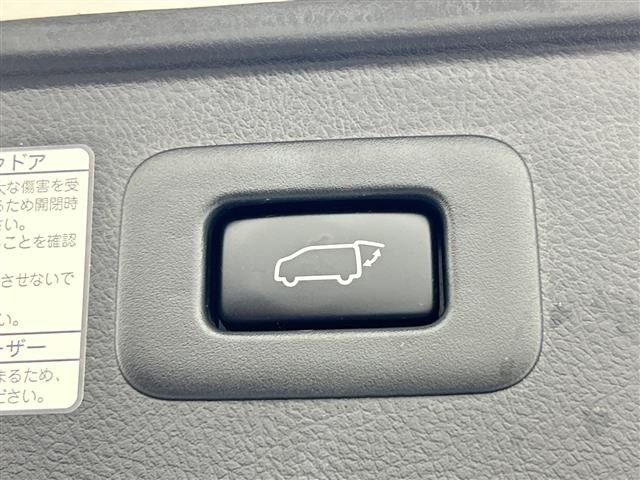Toyota ALPHARD 2019 8435359-19
