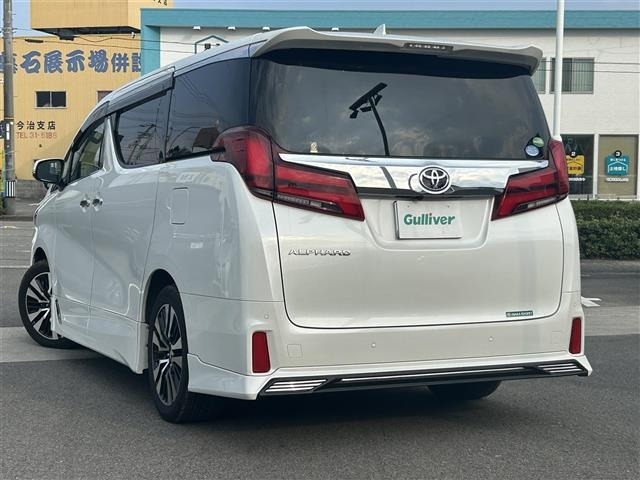 Toyota ALPHARD 2018 8437118-13