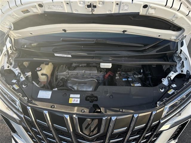 Toyota ALPHARD 2018 8437406-14