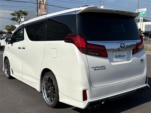 Toyota ALPHARD 2018 8437484-13