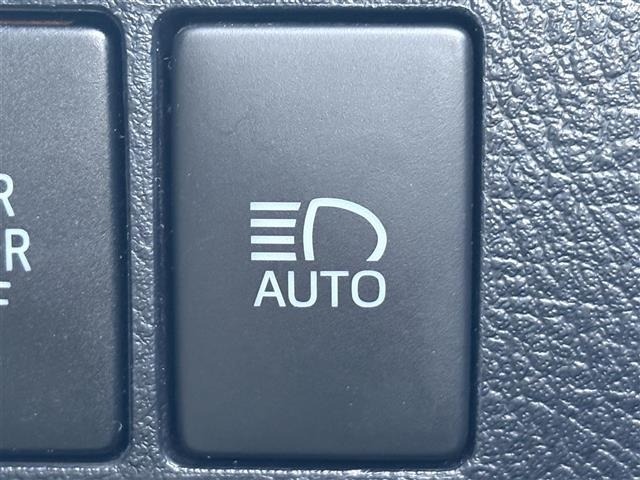 Toyota ALPHARD 2018 8437484-22