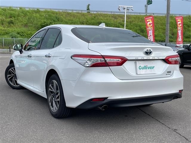 Toyota CAMRY 2019 8425007-13
