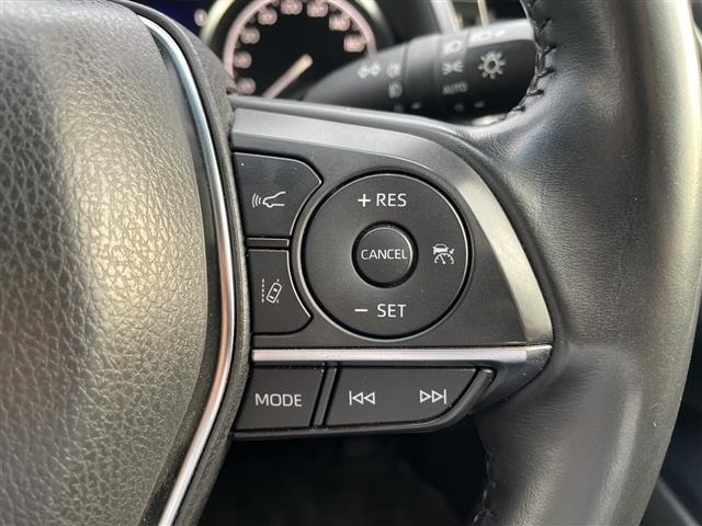 Toyota CAMRY 2019 8425007-19