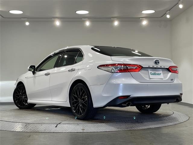 Toyota CAMRY 2019 8425127-14