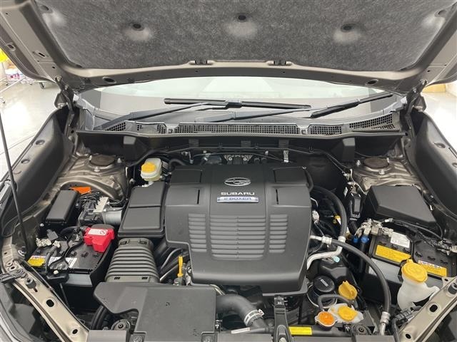 Subaru FORESTER 2018 8429746-16