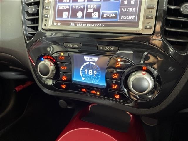 Nissan JUKE 2010 8431850-5