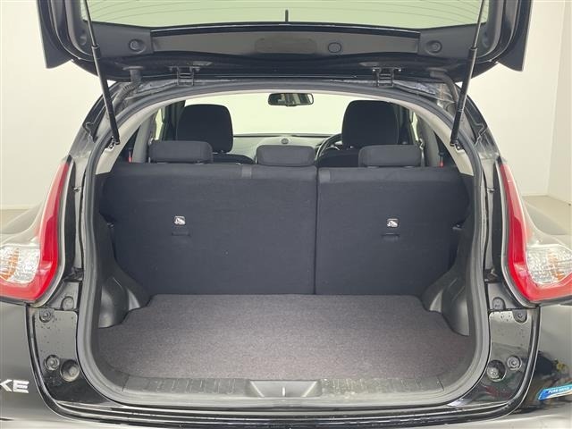 Nissan JUKE 2014 8431859-21