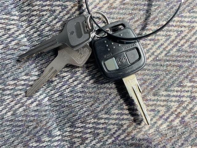 Nissan RASHEEN 1997 8428296-16