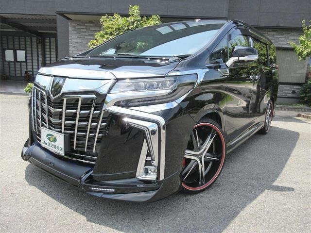 Toyota ALPHARD 2019 8462256-12