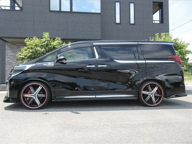 Toyota ALPHARD 2019 8462256-13