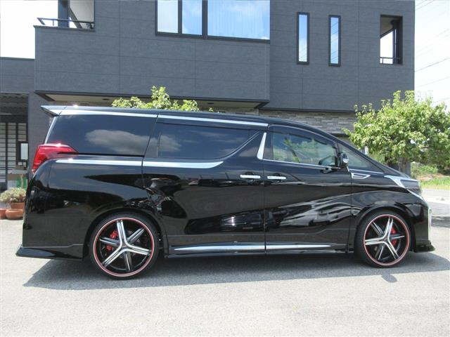 Toyota ALPHARD 2019 8462256-14