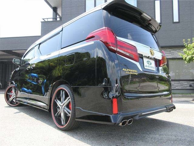 Toyota ALPHARD 2019 8462256-16