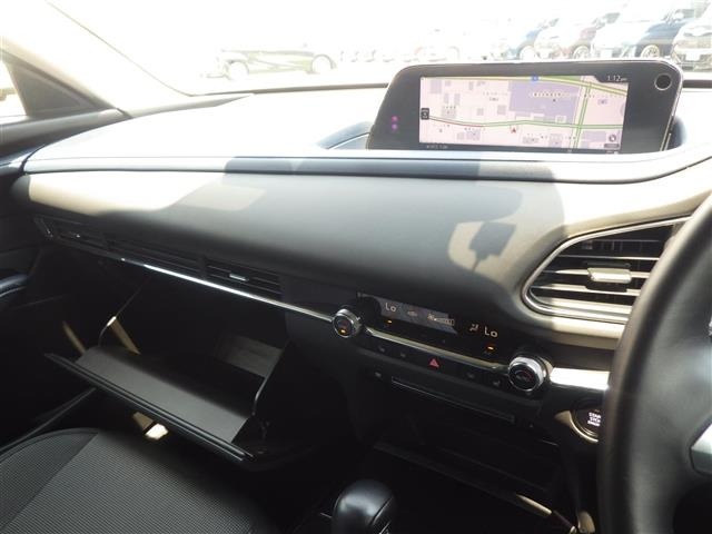 Mazda CX-30 2021 8446258-11