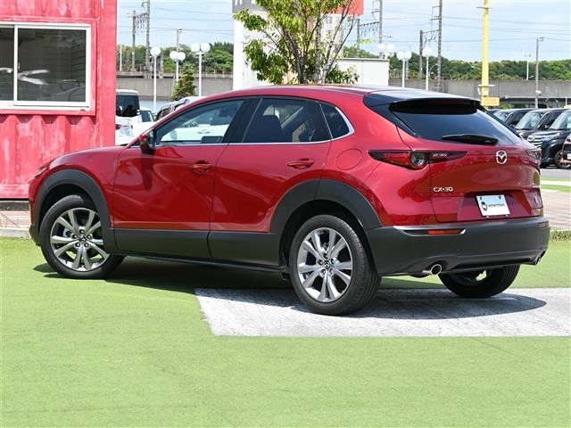 Mazda CX-30 2021 8446258-14
