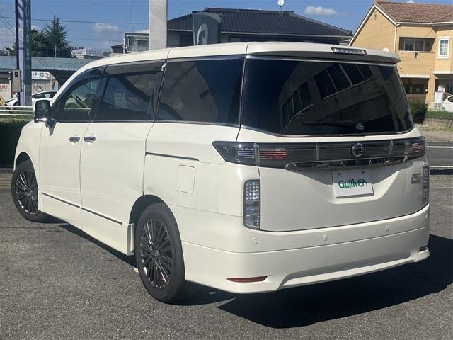Nissan ELGRAND 2019 8454605-13
