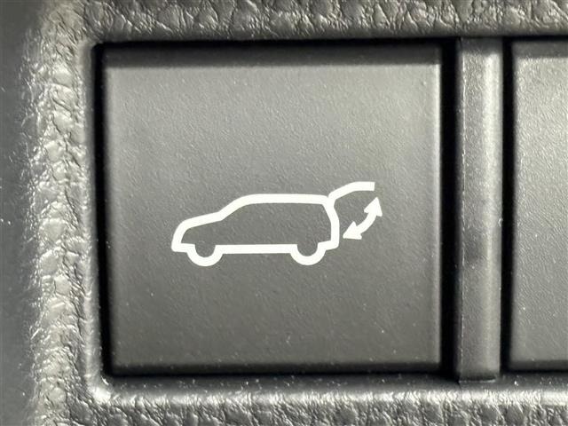 Toyota HARRIER 2024 8450027-3