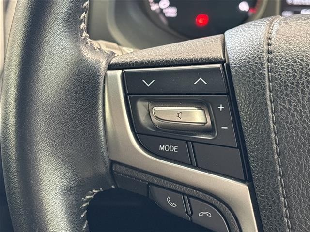 Toyota LAND CRUISER PRADO 2017 8463332-18