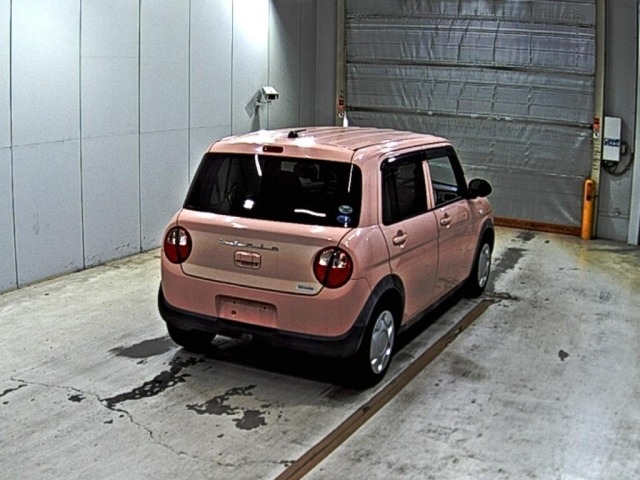 Suzuki LAPIN 2015 8462126-5