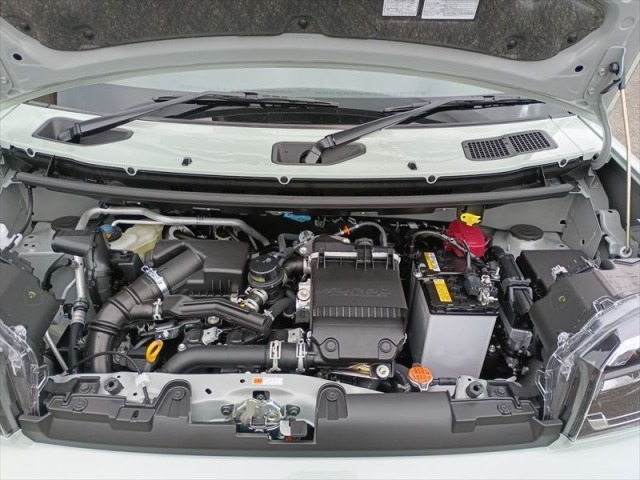 Daihatsu TAFT 2025 8464573-29