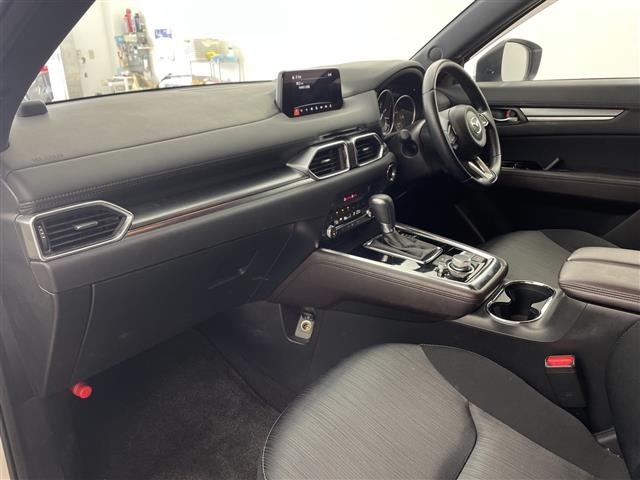 Mazda CX-8 2019 8477717-8