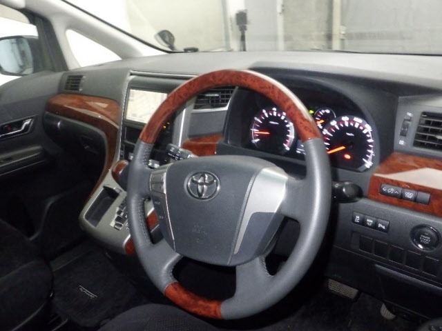 Toyota ALPHARD 2010 8491878-3