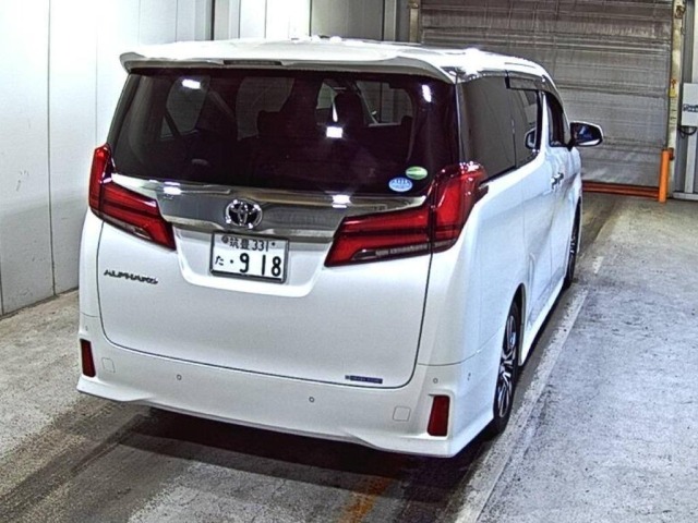 Toyota ALPHARD 2019 8491942-5