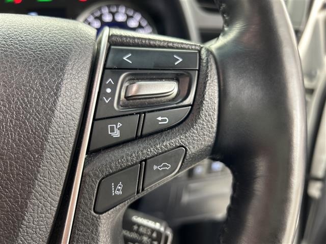 Toyota ALPHARD 2019 8492132-10