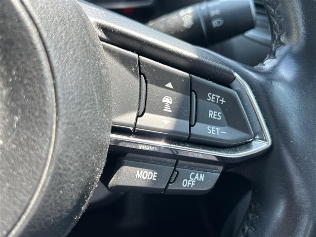 Mazda AXELA 2017 8480247-19