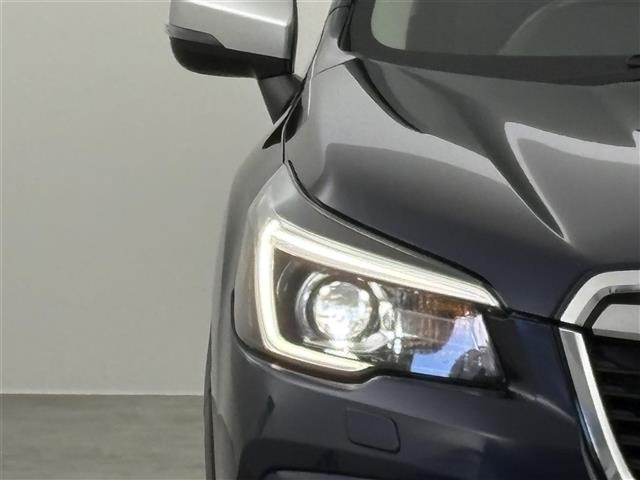 Subaru FORESTER 2019 8489778-20
