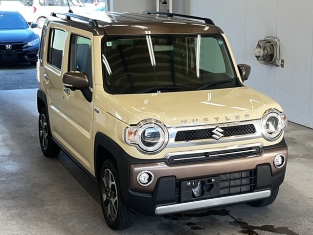 Suzuki HUSTLER 2024 8491465-4