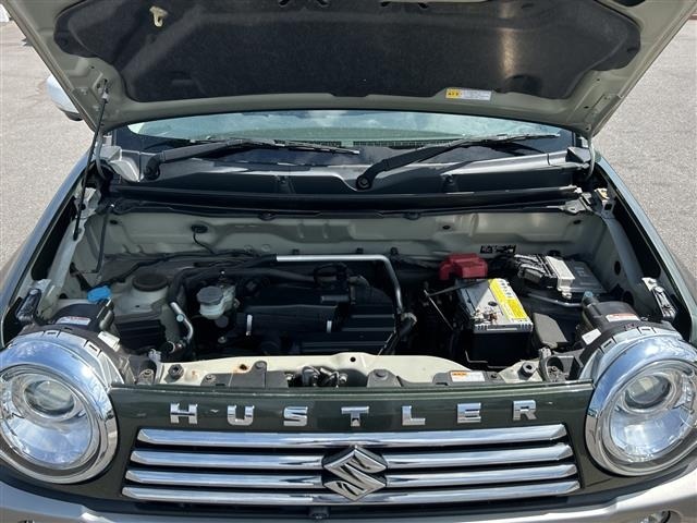 Suzuki HUSTLER 2017 8492079-14