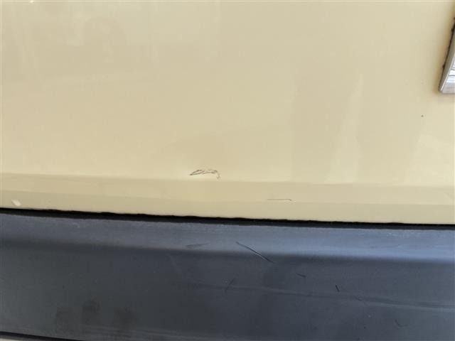 Suzuki HUSTLER 2017 8492129-6