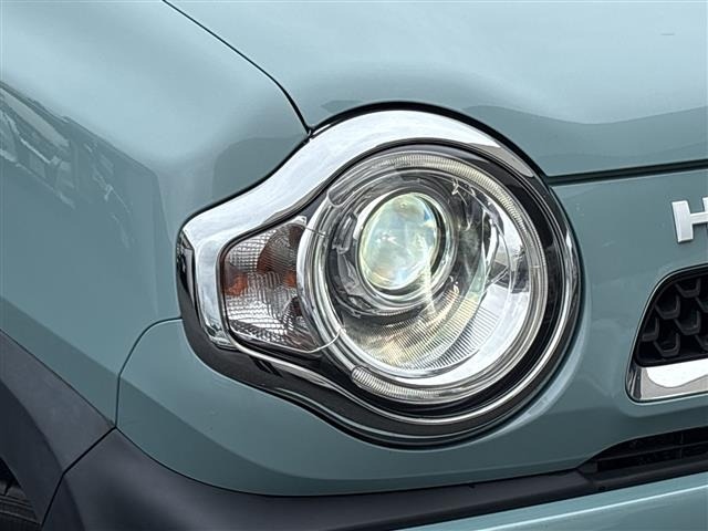 Suzuki HUSTLER 2019 8492158-10