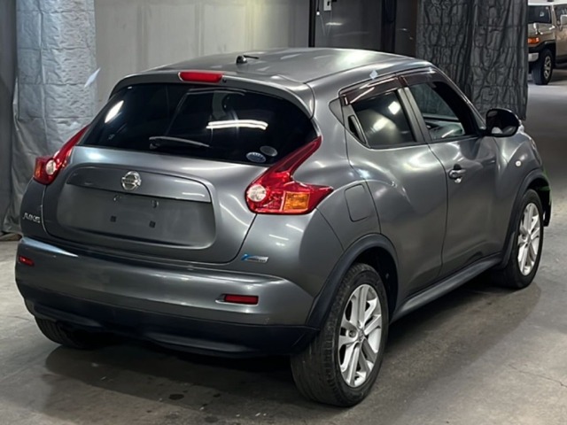 Nissan JUKE 2010 8490492-5